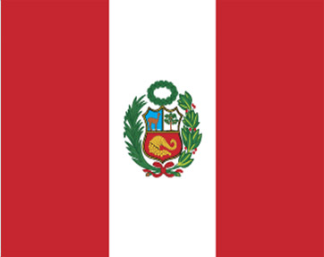 Notícia 4